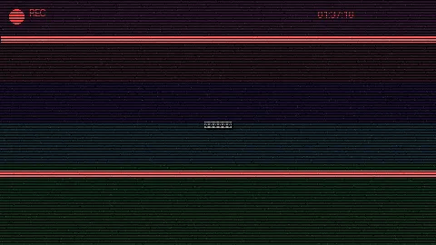 雨天窗前即景 - 鸭之一族 生活记录